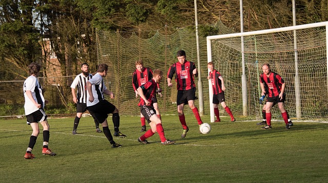 富有侵略性 富有侵略性