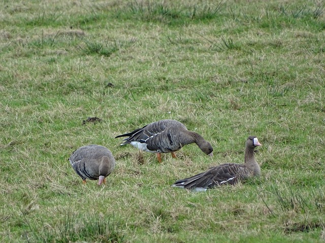 恐难实现 恐难实现