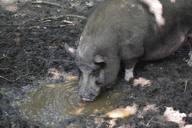 篮球界瞩目 篮球界瞩目