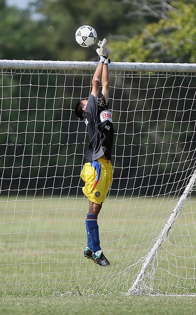 葡萄牙在与 葡萄牙在与