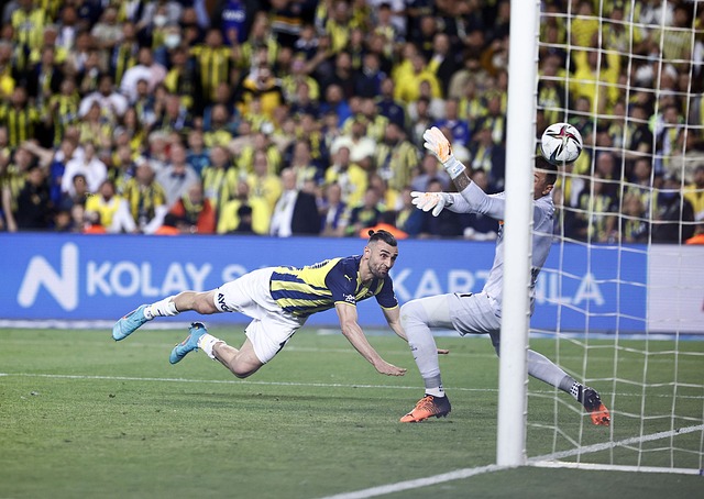 季的成功根 季的成功根