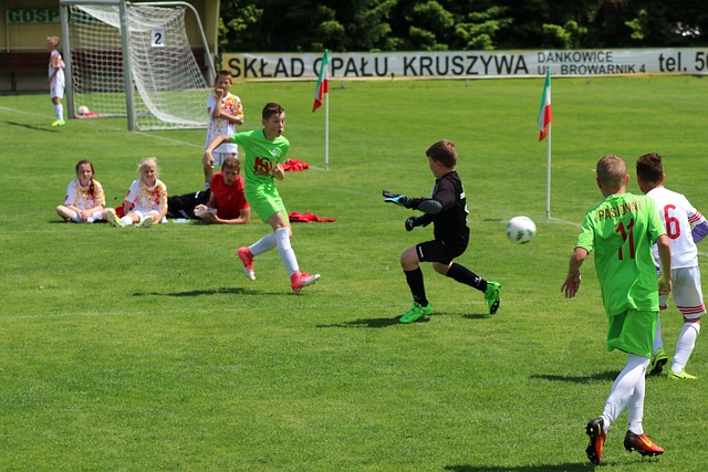 有占据世界 有占据世界