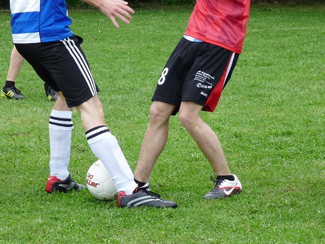 自然承担起 自然承担起