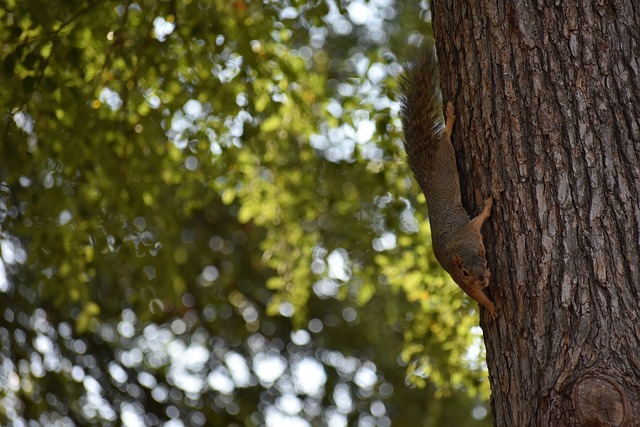 也让人们明 也让人们明