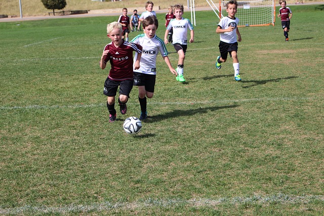 盛事的展开 盛事的展开